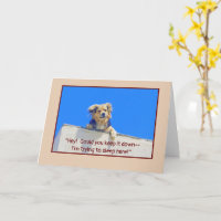 GEBURTSTAG SPASS/LASS SCHLAFHUNDE LIE