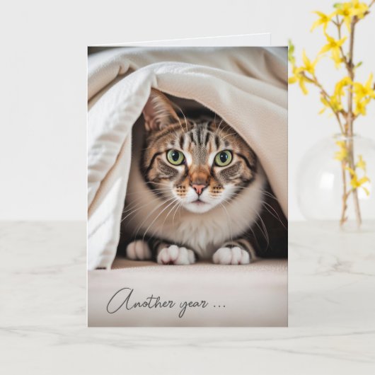 Geburtstag Tabby Cat Alter Spaß Karte (Gelbe Blume)