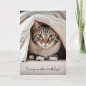 Geburtstag Tabby Cat Alter Spaß Karte (Vorderseite)