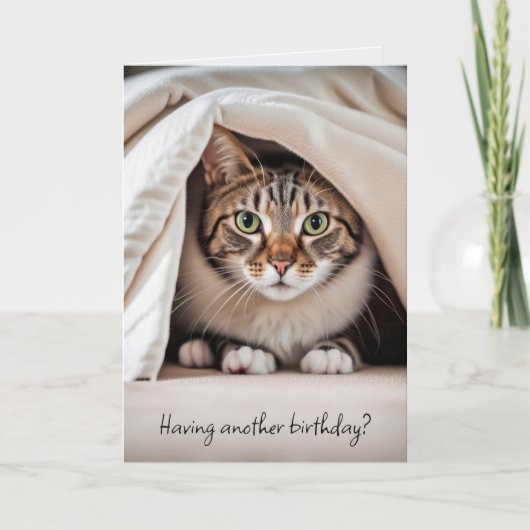 Geburtstag Tabby Cat Alter Spaß Karte (Vorderseite)