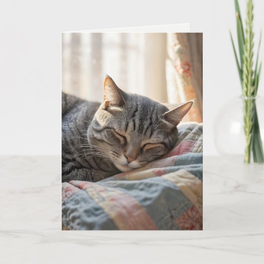 Geburtstag Tabby Katze Schlafen auf altes Quilt Karte (Vorderseite)