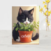 Geburtstag Tuxedo Kitten mit Catnip Pflanze Karte (Gelbe Blume)