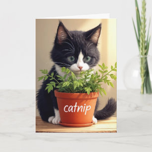 Geburtstag Tuxedo Kitten mit Catnip Pflanze Karte