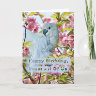 Geburtstag, von allen uns, weißer Papagei Karte