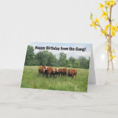 Geburtstag von der Gruppe Karte (Gelbe Blume)