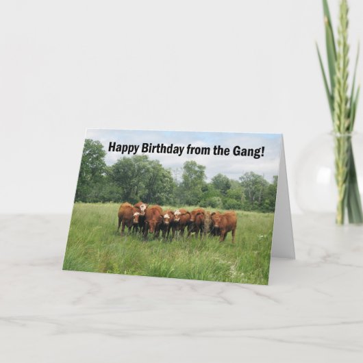 Geburtstag von der Gruppe Karte (Vorderseite)