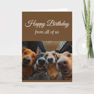 Geburtstag von der Gruppe Spaß Hunde Haustiere Karte