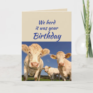Geburtstag von US Kuh Tier Spaß Karte
