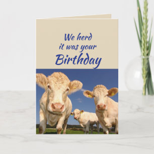 Geburtstag von US Kuh Tier Spaß Karte