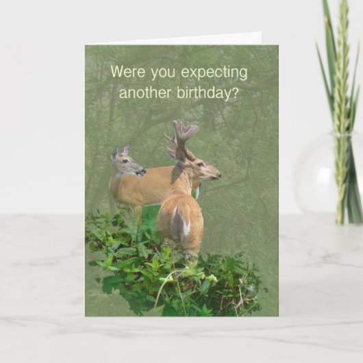 Geburtstag Whitetail Deer Buck & Doe Karte (Vorderseite)