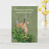 Geburtstag Whitetail Deer Buck & Doe Karte (Gelbe Blume)