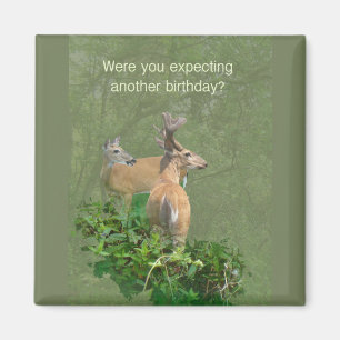 Geburtstag Whitetail Deer Buck & Doe Magnet