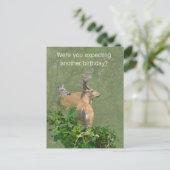 Geburtstag Whitetail Deer Buck & Doe Postkarte (Stehend Vorderseite)
