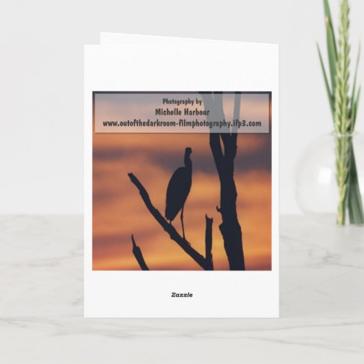 Geburtstag - Winden-Gruß-Karte Karte (Rückseite)