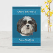 Geburtstag, Wir alle, Shih Tzu Dog Karte (Gelbe Blume)