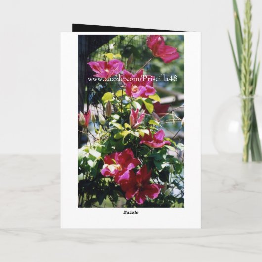 Geburtstag wünscht, Freund, hübsche Clematisblüte. Karte (Rückseite)