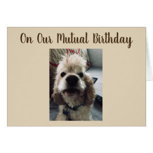 GEBURTSTAG WÜNSCHT IHNEN ZU UNSEREM GEGENSEITIGEN