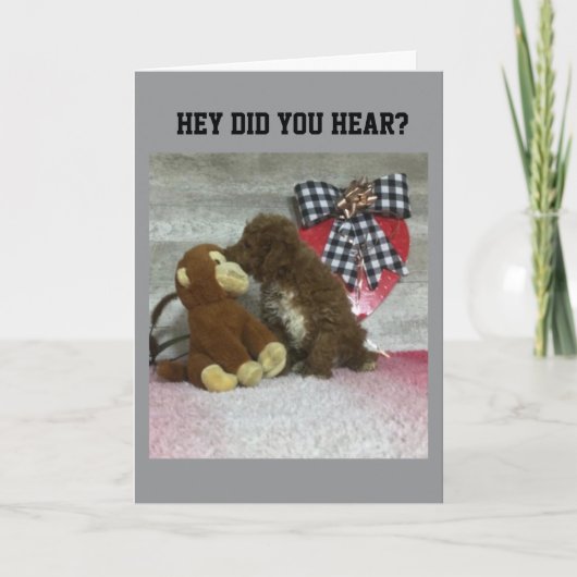 GEBURTSTAG WÜNSCHT JEMANDEM BESONDERS! KARTE (Vorderseite)