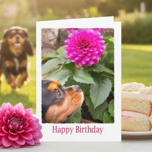 Geburtstag wünscht sich mit Dahlia und Spaniel Hun Karte