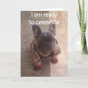 GEBURTSTAG WÜNSCHT VON EINEM COOLEN HUND KARTE