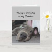 Geburtstag zu meinem Bruder Spaß Hund Relax Spaß