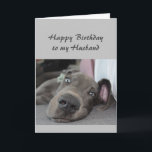 Geburtstag zu meinem Husband Fun Dog Relax Spaß Karte<br><div class="desc">Herzlichen Glückwunsch zum Geburtstag meiner Husband-Definition von Relax Spaß Gruß mit niedlichen entspannenden Great Dane Hund</div>
