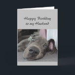 Geburtstag zu meinem Husband Fun Dog Relax Spaß Karte<br><div class="desc">Herzlichen Glückwunsch zum Geburtstag meiner Husband-Definition von Relax Spaß Gruß mit niedlichen entspannenden Great Dane Hund</div>