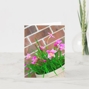 Geburtstage sind besser im Rosa (Karte) Karte