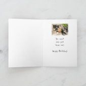 Geburtstage sind wie Cats Animal Spaß Karte (Innenseite)