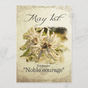 Geburtstags-Blumen am 1. Mai "Edelweiss " Karte