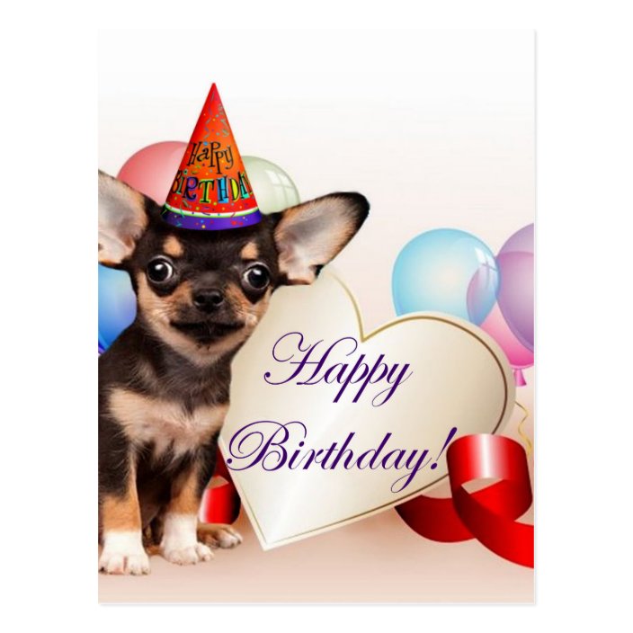 GeburtstagsChihuahuahund Postkarte Zazzle.de