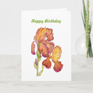 Geburtstags-Content und Joy Card Karte