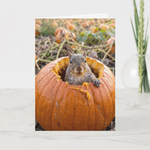 Geburtstags-Eichhörnchen in einem Herbstkürbis Karte