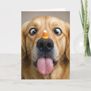Geburtstags-Golden-Retriever mit Candy Corn Karte