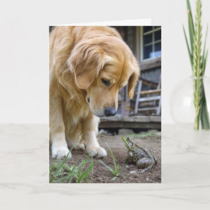 Geburtstags-Golden-Retriever und Frosch-Starre Karte