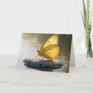 Geburtstags-Goldener Schmetterling auf einem Felse Karte