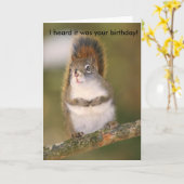 Geburtstags-Gruß-Karte - Eichhörnchen Karte (Gelbe Blume)