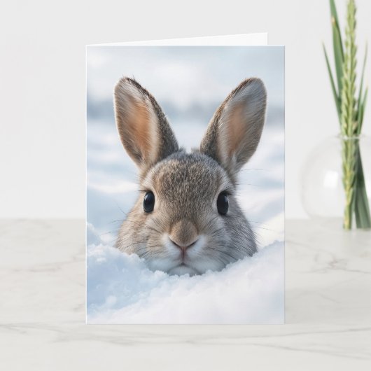 Geburtstags-Hase in einer tiefen Schneewehe Karte (Vorderseite)