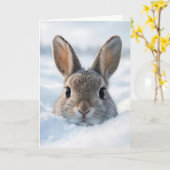 Geburtstags-Hase in einer tiefen Schneewehe Karte (Gelbe Blume)