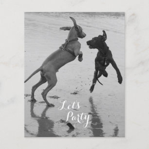 Geburtstags-Hunde Flyer