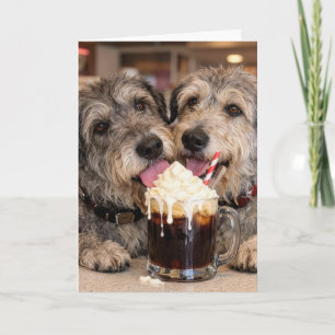 Geburtstags-Irish Wolfhounds lecken Root Beer Floa Karte