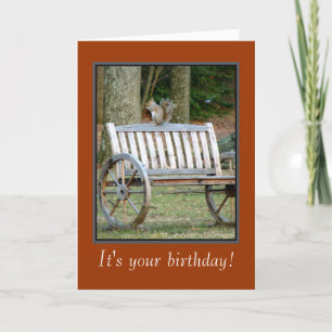 Geburtstags-Karte des Eichhörnchen-n Nut Karte