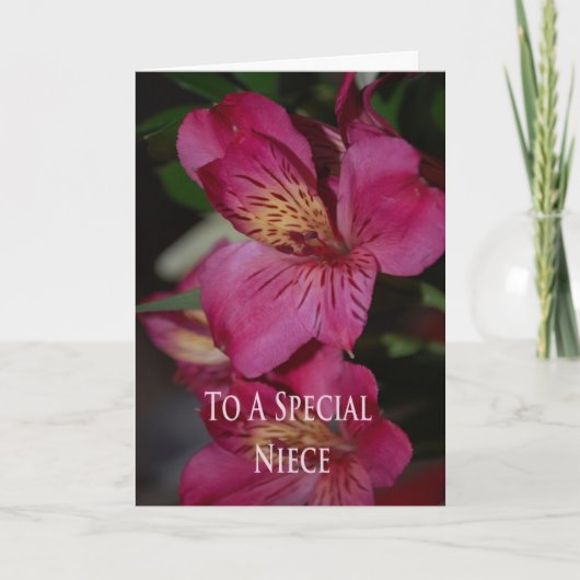 Geburtstags-Karte für Nichte Karte (Vorderseite)