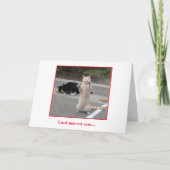 Geburtstags-Karte Karte (Vorderseite)