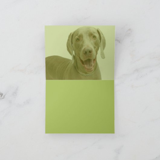 Geburtstags-Karte Karte (Innenseite)