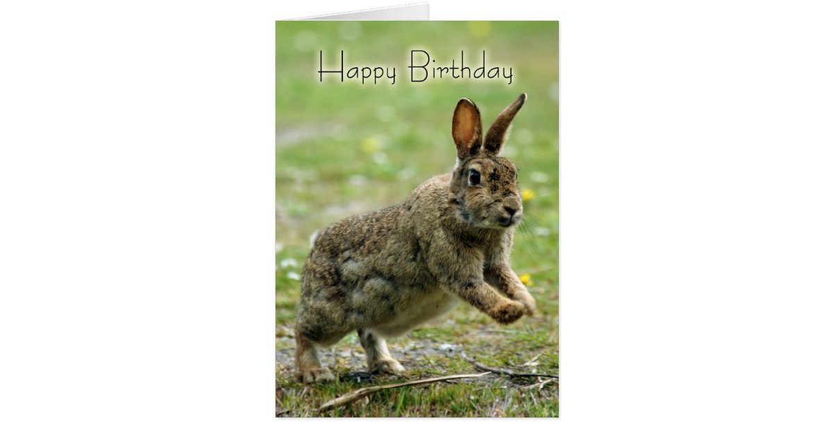 GeburtstagsKarte mit wildem Kaninchen Karte Zazzle