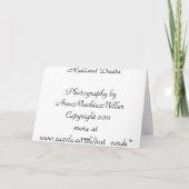 Geburtstags-Karte: Stockenten-Enten Karte (Rückseite)