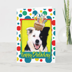Geburtstags-kleiner Kuchen - Border-Collie Karte