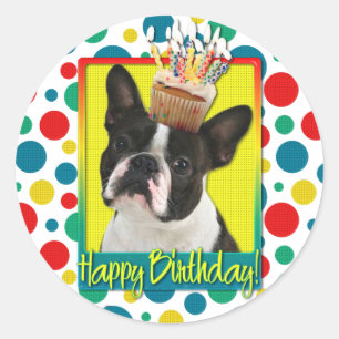 Geburtstags-kleiner Kuchen - Boston Terrier Runder Aufkleber
