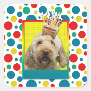 Geburtstags-kleiner Kuchen - GoldenDoodle Quadratischer Aufkleber